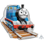 THOMAS & FRIENDS SHAPE P38 PKT (29″ x 27″)