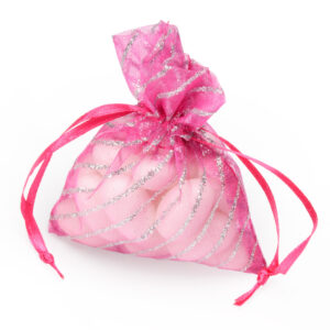 FUCHSIA/SIL GLITTER LINE POUCH PK10