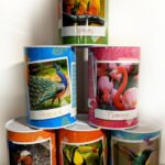 EXOTIC BIRDS WITH INTERSTING FACTS  MONEY TIN(ASSORTED) DESIGN SEND RANDOMLY