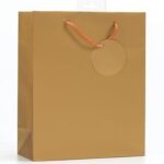 SIMON ELVIN LARGE GIFT BAGS GOLD 6