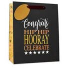 S/ELVIN MEDIUM GIFT BAGS W/FOIL 6