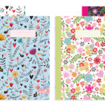 SILVINE A4 EX BOOKS ASST COL PK12