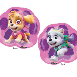 PAW PATROL SKYE & EVEREST SHAPE P38