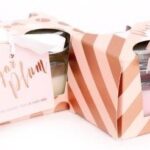 S/2 PINK WAX FILLED JARS