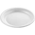 EXQUZIT EXPANDED FOAM PLATES 10IN PK25