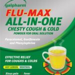 GALPHARM FLUMAX CHESTY COUGH & COLD 10 SACHETS