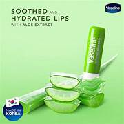 VASELINE ALOE VERA 4.8G LIP CARE STICK PACK OF 24 - Image 4