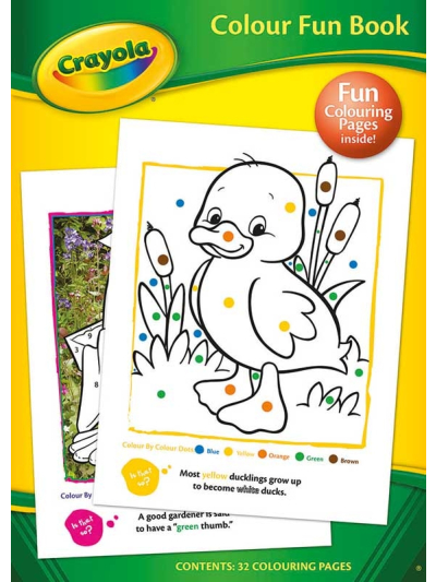 CRAYOLA COLOUR FUN BOOK