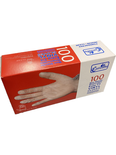 CLEAR PF VINYL GLOVES LGE PK100
