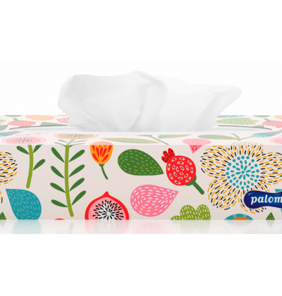 PALOMA BOXED FACIAL TISSUES 2PLY 100S