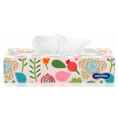 PALOMA BOXED FACIAL TISSUES 2 PLY 100S