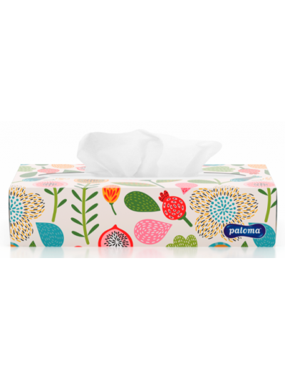 PALOMA BOXED FACIAL TISSUES 2 PLY 100S