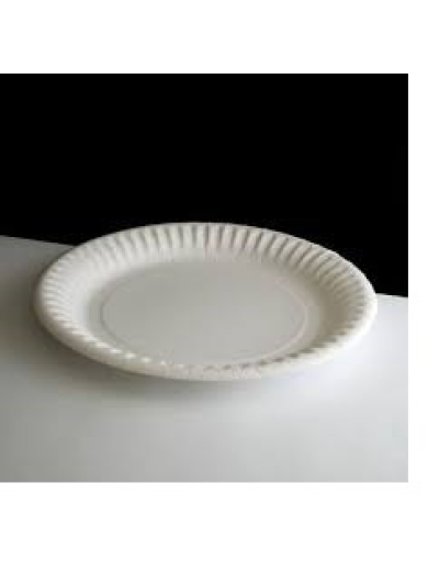 ESSENTIAL 18CM WHITE PAPER PLATES PK15