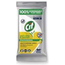 CIF ANTI-BAC & SHINE PROFESSIONAL MULTI-PURPOSE WIPES, 100S