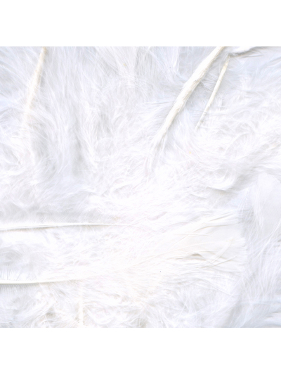 ELEGANZA CRAFT FEATHERS WHITE