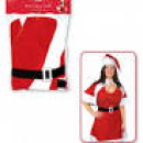 MISS CLAUS OUTFIT