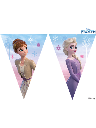 DISNEY FROZEN II TRIANGLE FLAG BANNER