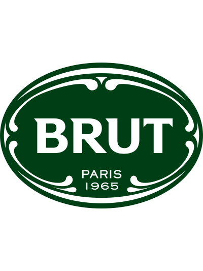 BRUT ALL IN ONE SHOWER GEL SOLD SINGLE IN ASSORTED RANGE