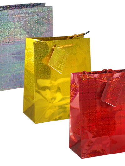 TALLON HOLOGRAPHIC BAG - SMALL 12S