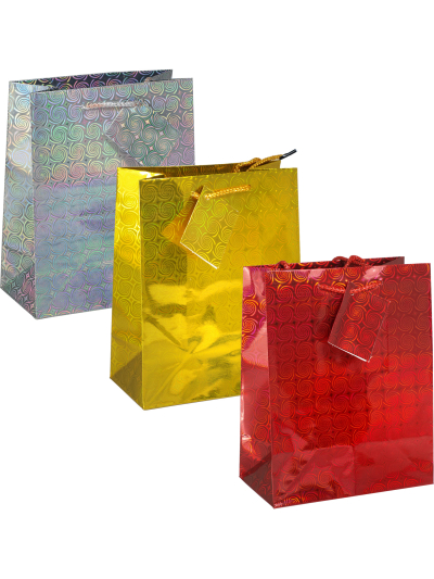 TALLON HOLOGRAPHIC BAG - MEDIUM 12S