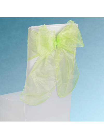 SNOW SHEER CHAIR TIE LIME