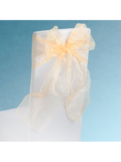 SNOW SHEER CHAIR TIE PEACH