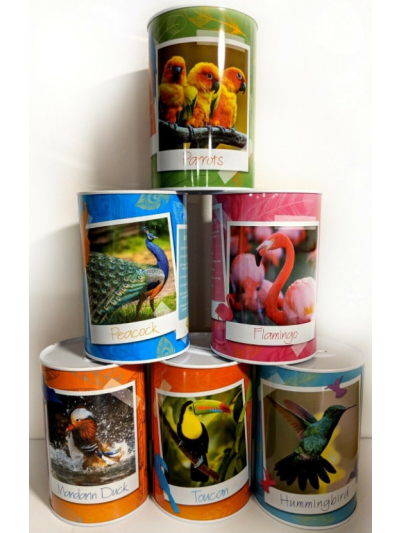 EXOTIC BIRDS WITH INTERSTING FACTS  MONEY TIN(ASSORTED) DESIGN SEND RANDOMLY