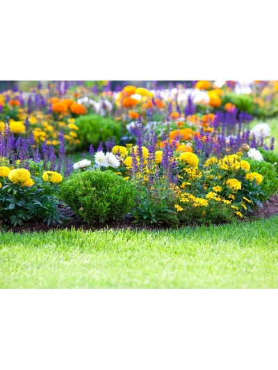 FABULOSA OUTDOOR DISINFECTANT SOLD SINGLE