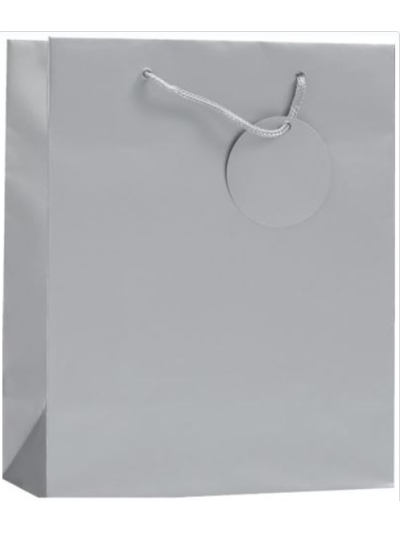 SIMON ELVIN LARGE GIFT BAGS SILVER PK6