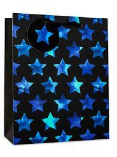 S/ELVIN LARGE GIFT BAGS 6