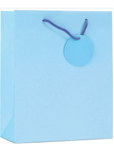 SIMON ELVIN MEDUIM GIFT BAGS PALE BLUE 6
