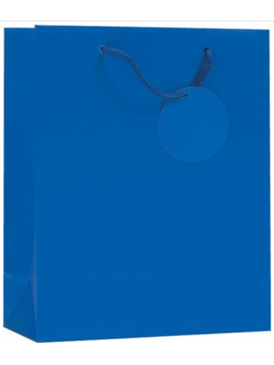 SIMON ELVIN MEDUIM GIFT BAGS BLUE PK6