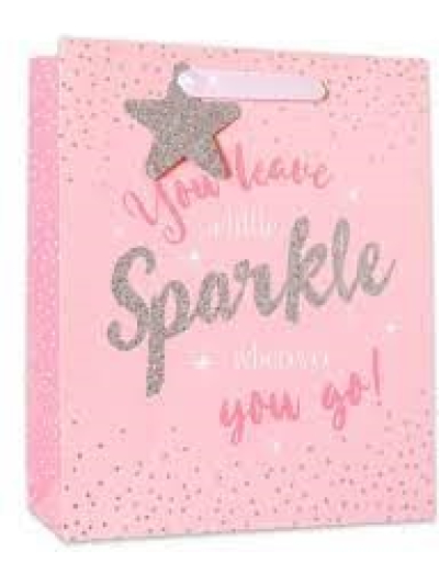 S/ELVIN MEDIUM GIFT BAGS W/GLITTER 6