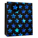 S/ELVIN MEDIUM GIFT BAGS STD 6