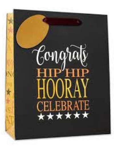 S/ELVIN MEDIUM GIFT BAGS W/FOIL 6