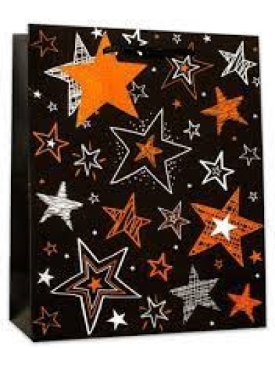 SIMON ELVIN SMALL GIFT BAG "STAR" WITH FOIL PACK OF 6