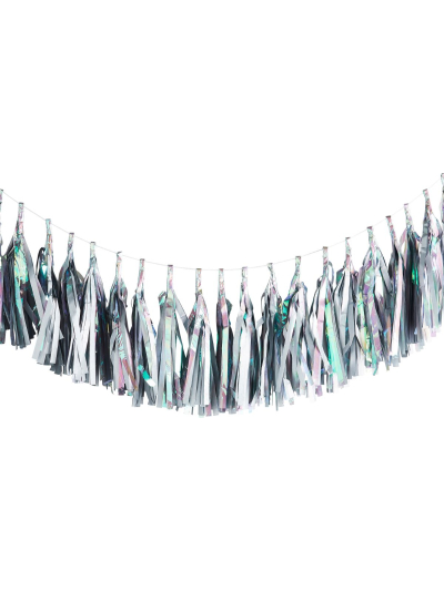 IRID TASSEL GARLAND 3M