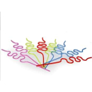 UNIQUE SQUIGGLE LOOP 8 STRAWS