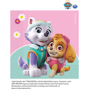 PAW PATROL SKYE AND EVEREST 2 PLY NAPKINS PK20