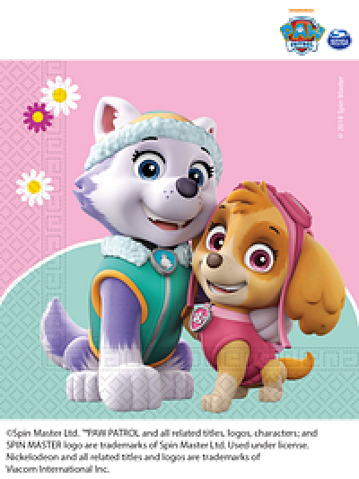 PAW PATROL SKYE & EVEREST 2 PLY NAPKINS PK20