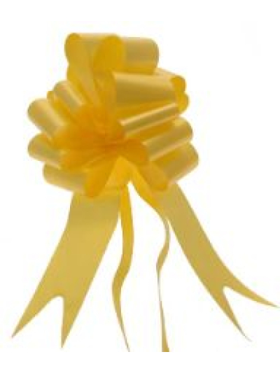 APAC 50MM DAFFODIL YELLOW PULLBOW PK20