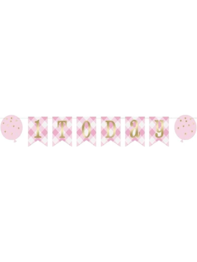 UNIQUE PINK GINGHAM 1 TODAY BANNER