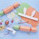 DIY CRACKER CARROT SET PK6
