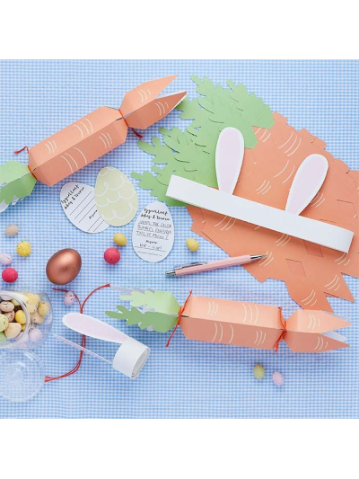DIY CRACKER CARROT SET PK6
