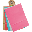 PAPER TWIST PLAIN COLOUR GIFT BAGS PK5
