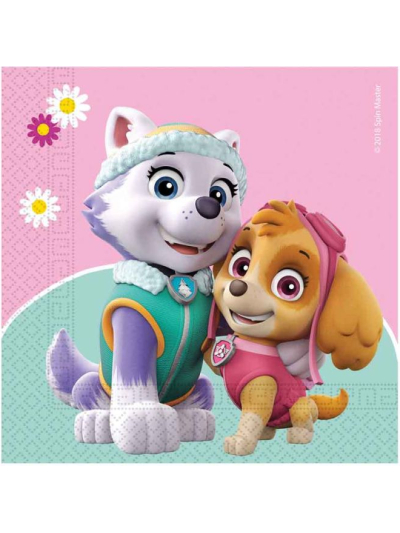 PAW PATROL SKYE AND EVEREST 2 PLY NAPKINS PK20