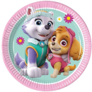 PAW PATROL SKYE AND EVEREST PAPER PLATES 20CM PK8