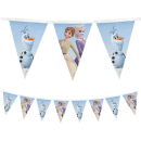 FROZEN II WIND SPIRIT REUSABLE FLAG BANNER
