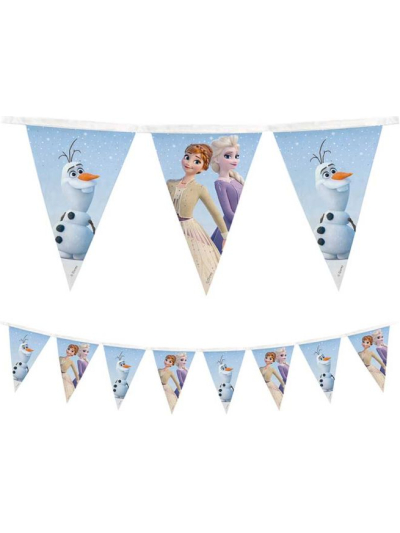 FROZEN II WIND SPIRIT REUSABLE FLAG BANNER