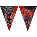SPIDERMAN WORLD OF WEBS PAPER FLAG BANNER